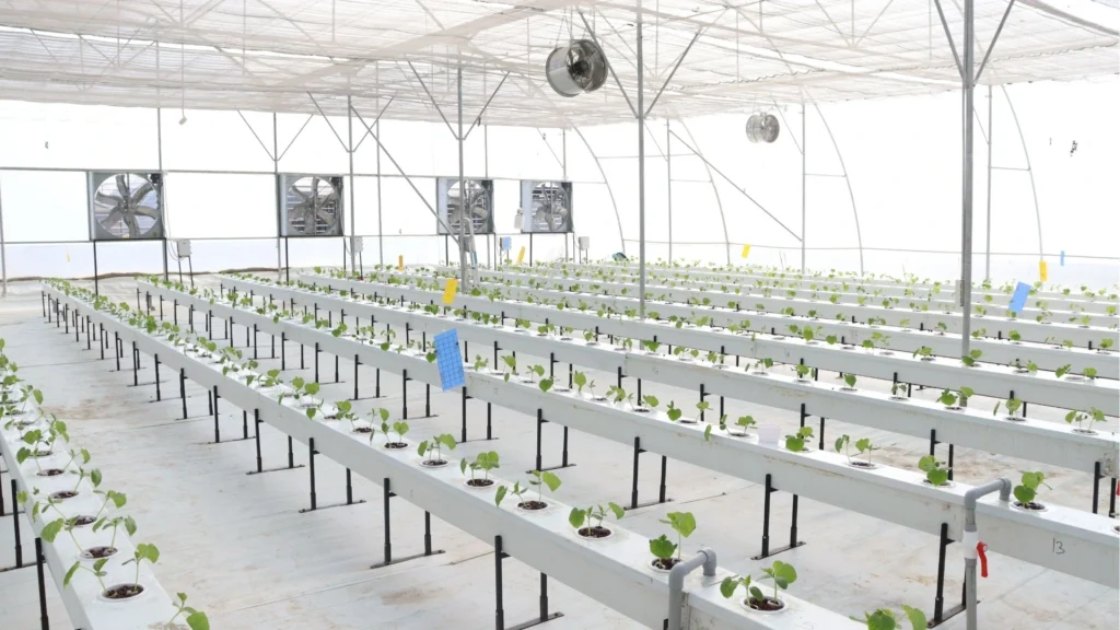 AgriTech Indoor Farming