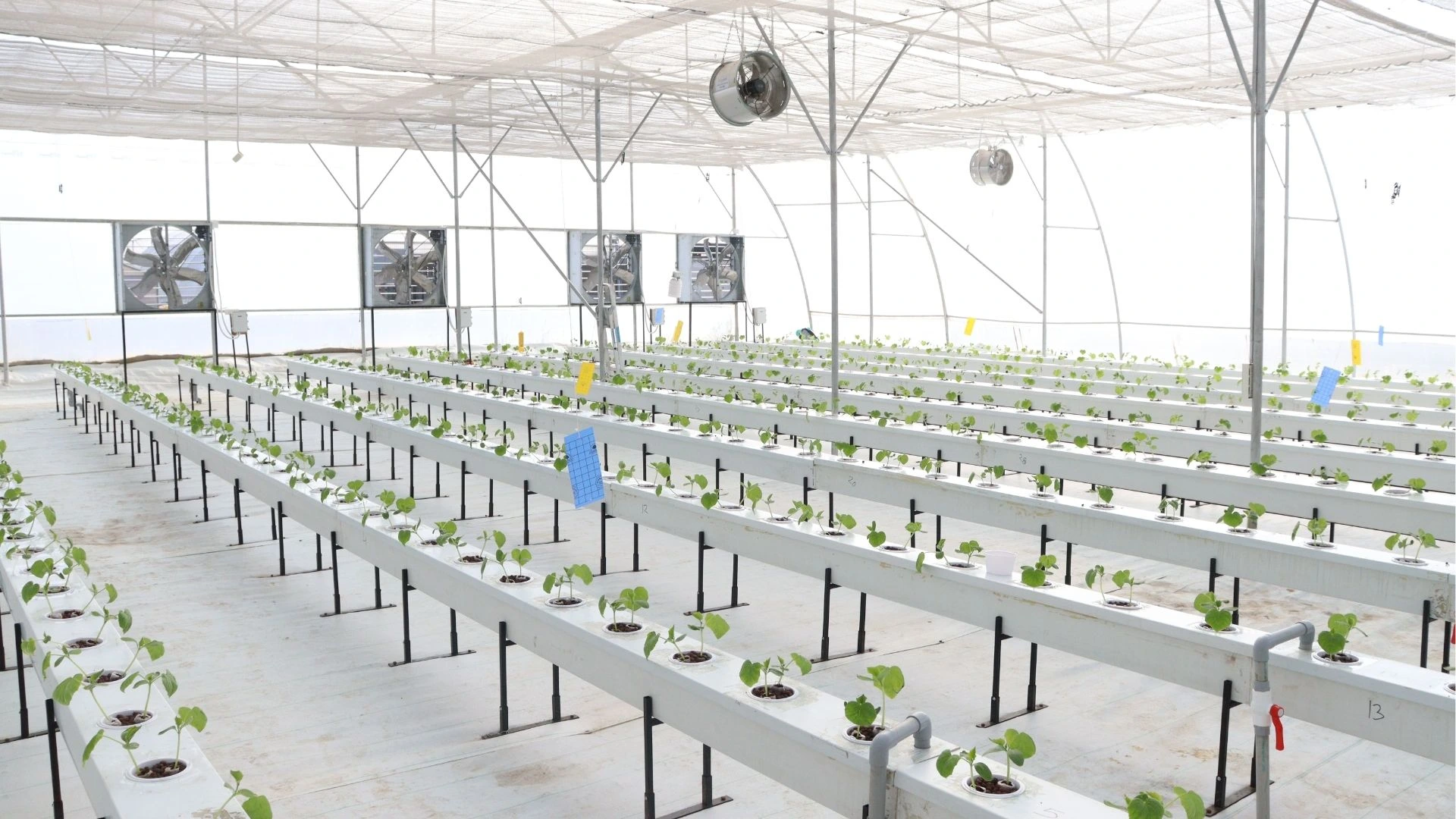 AgriTech Indoor Farming