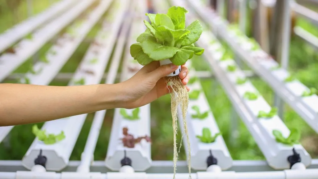 Eeki Redefines Indian Agriculture