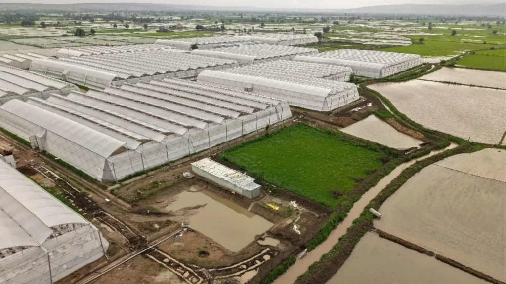 Farmers Are Rapidly Adopting Polyhouse Farming