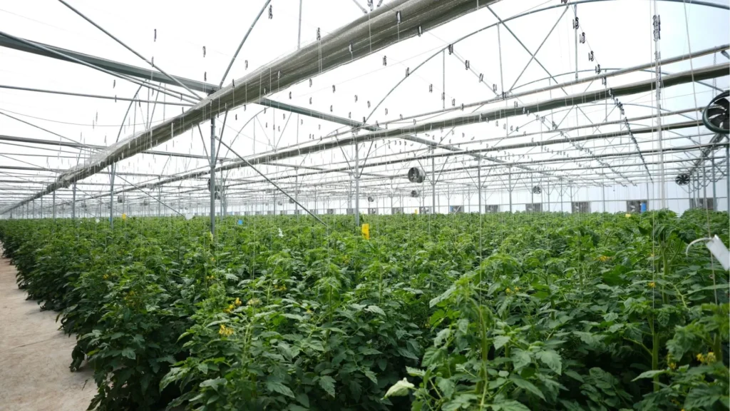 Water Efficiency Matters for Food Security