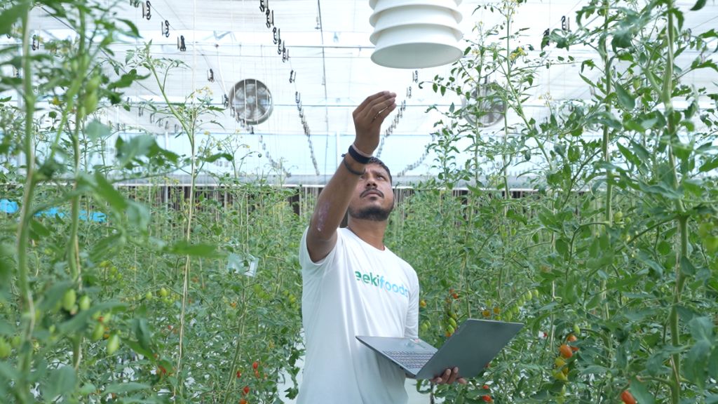 Water Efficiency Matters for Food Security