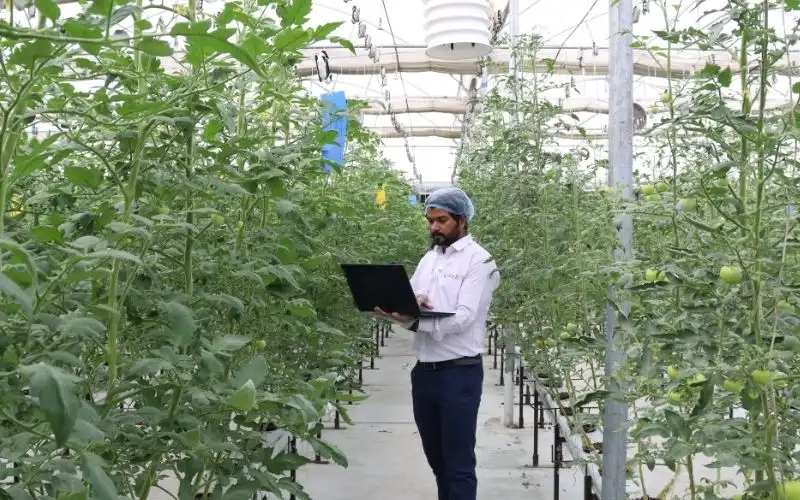 Inside a Modern Farm