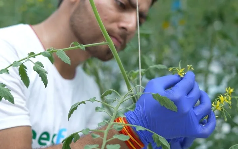 Real-Life Impact We Are Creating at Eeki