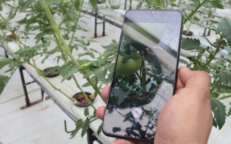 IoT device in agriculture